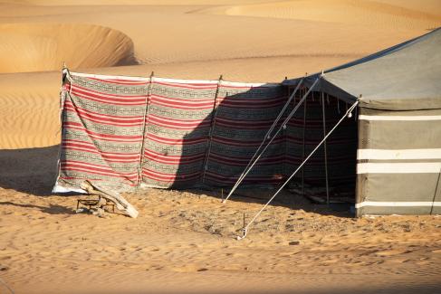 0acc5-desert-camel-overnight-1