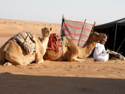 Camel Ride with Overnight in the Private Desert Tent